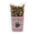 Kates Popcorn Milk chocolate