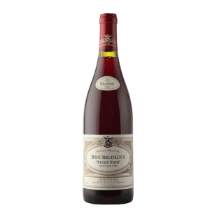 Bourgogne Pinot Noir 2022