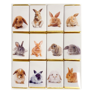 House of Dolchester Easter Bunny Slims 120g 